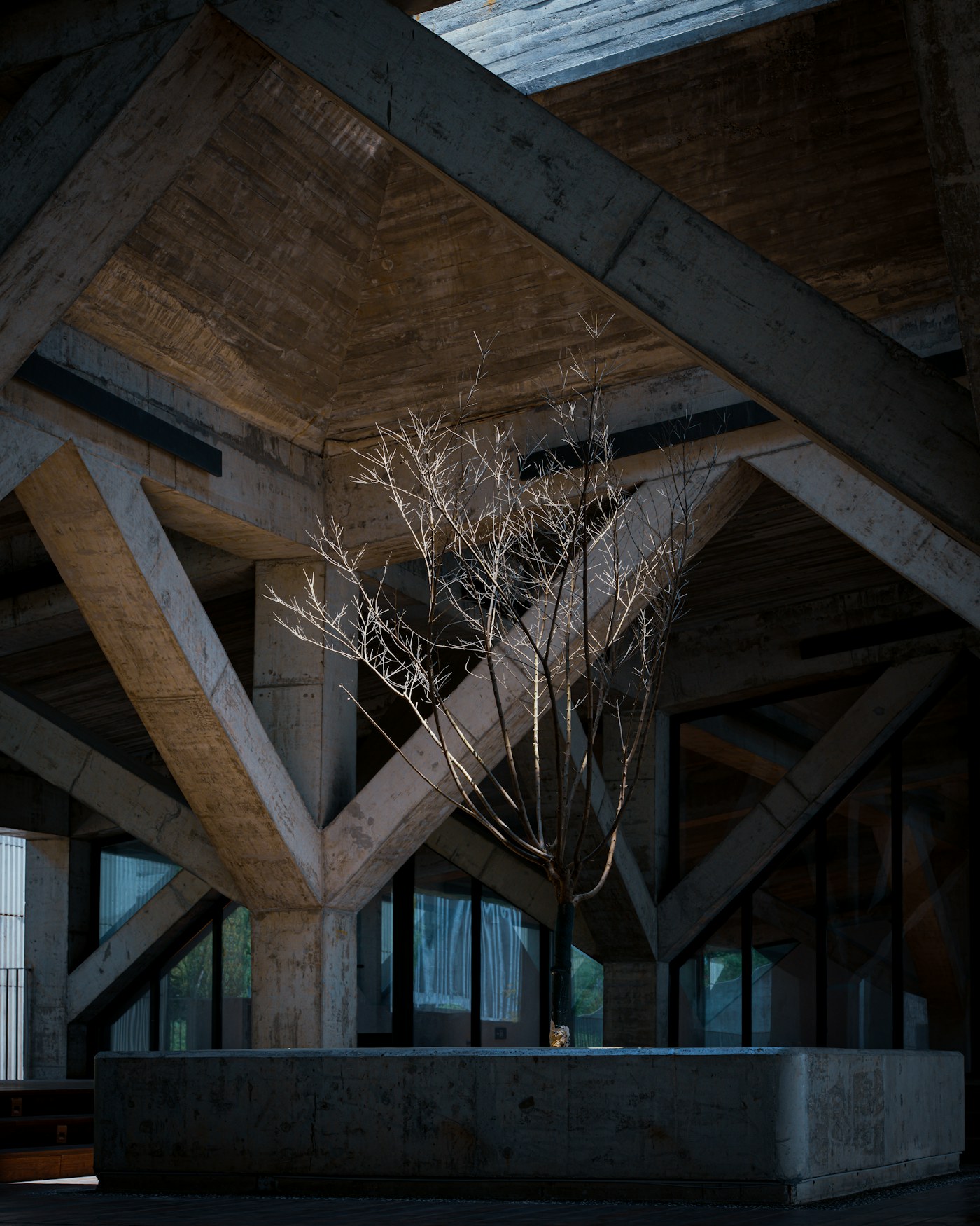 Bare tree inside a brutalist concrete structure